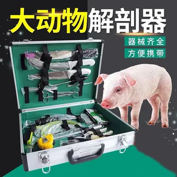 Набор от инструменти за аутопсия големи животни, кутия за едър рогат добитък, овце, свине, ветеринарен инструмент, диссектор за големи животни, експериментално аксесоари